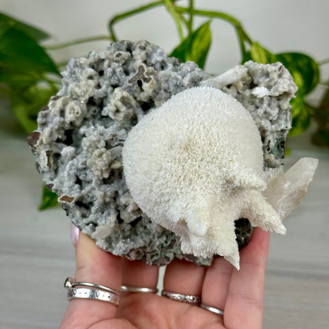 Mordenite Snowballs On Matrix Specimen