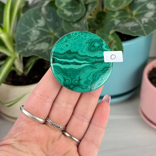 Malachite Cookie - O1