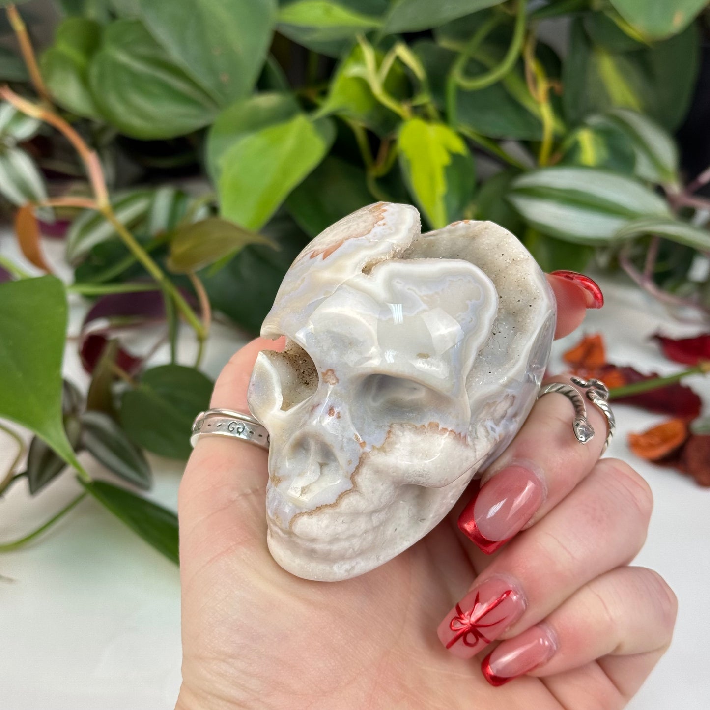 Flower Agate Skull