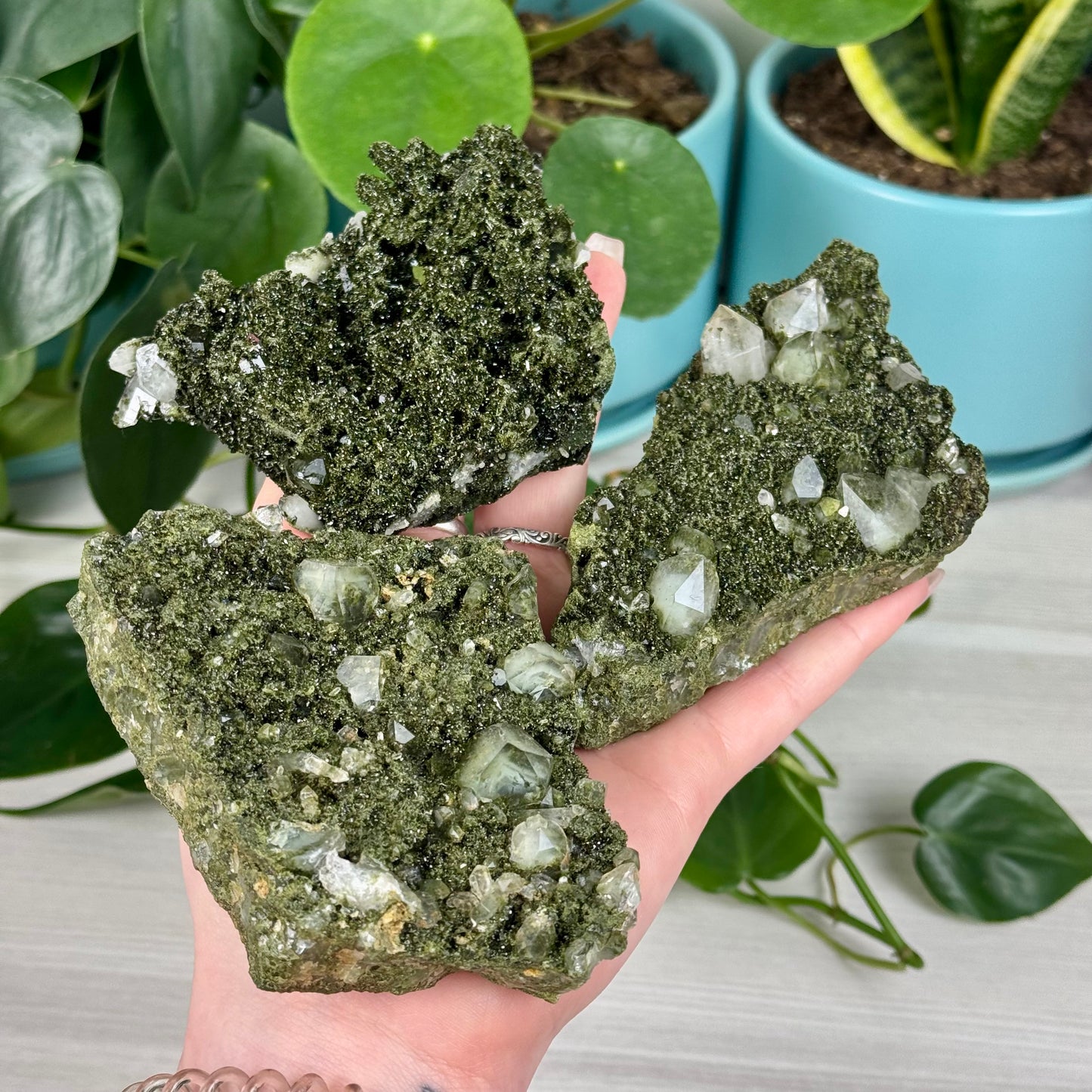 Forest Quartz