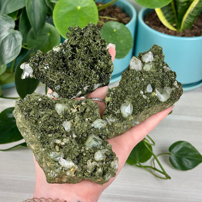 Forest Quartz
