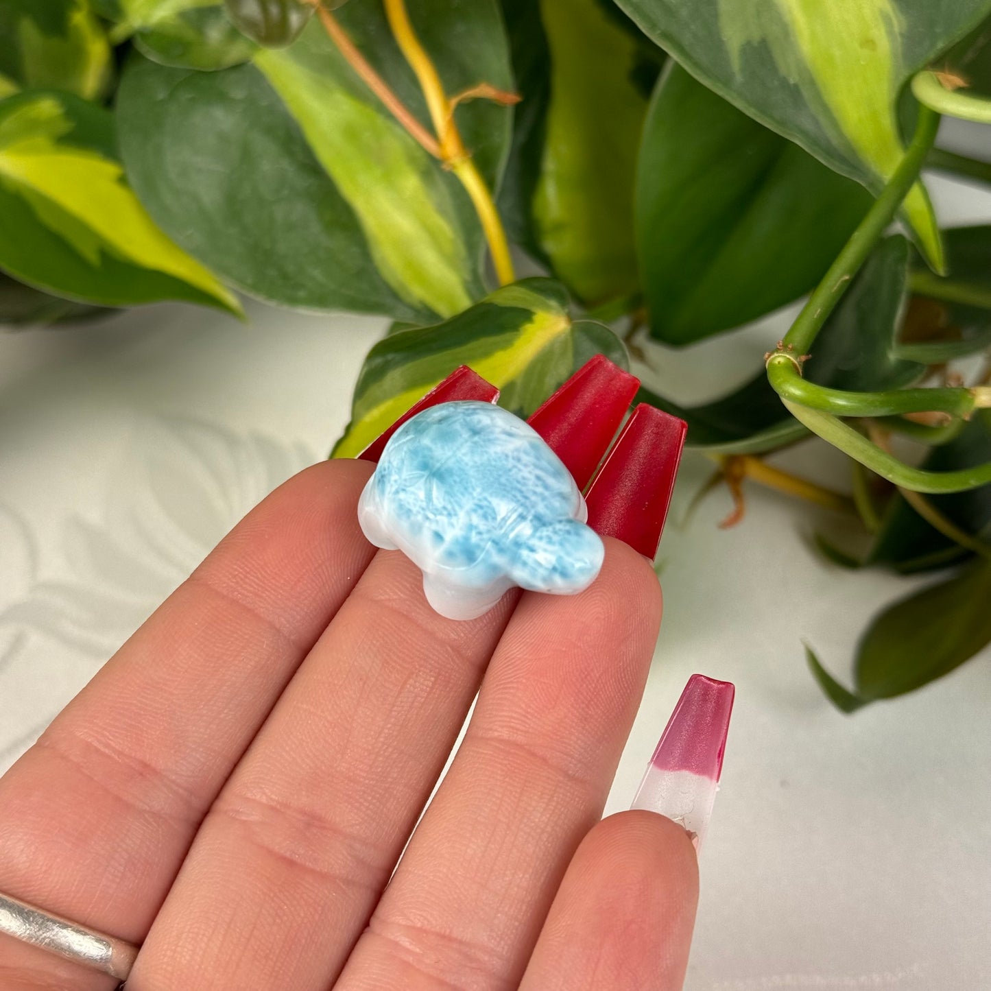 Mini Larimar Turtle