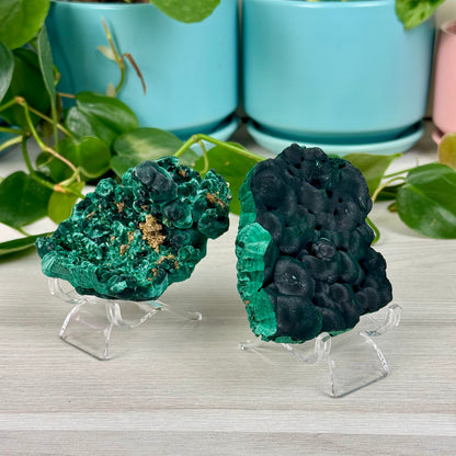 Velvet Malachite