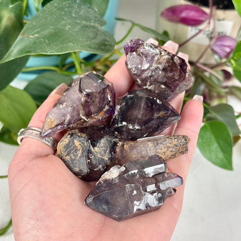 Enhydro Shangaan Amethyst