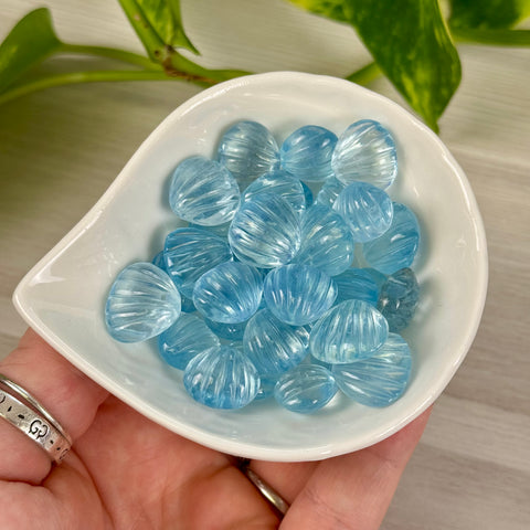 Aquamarine Seashell