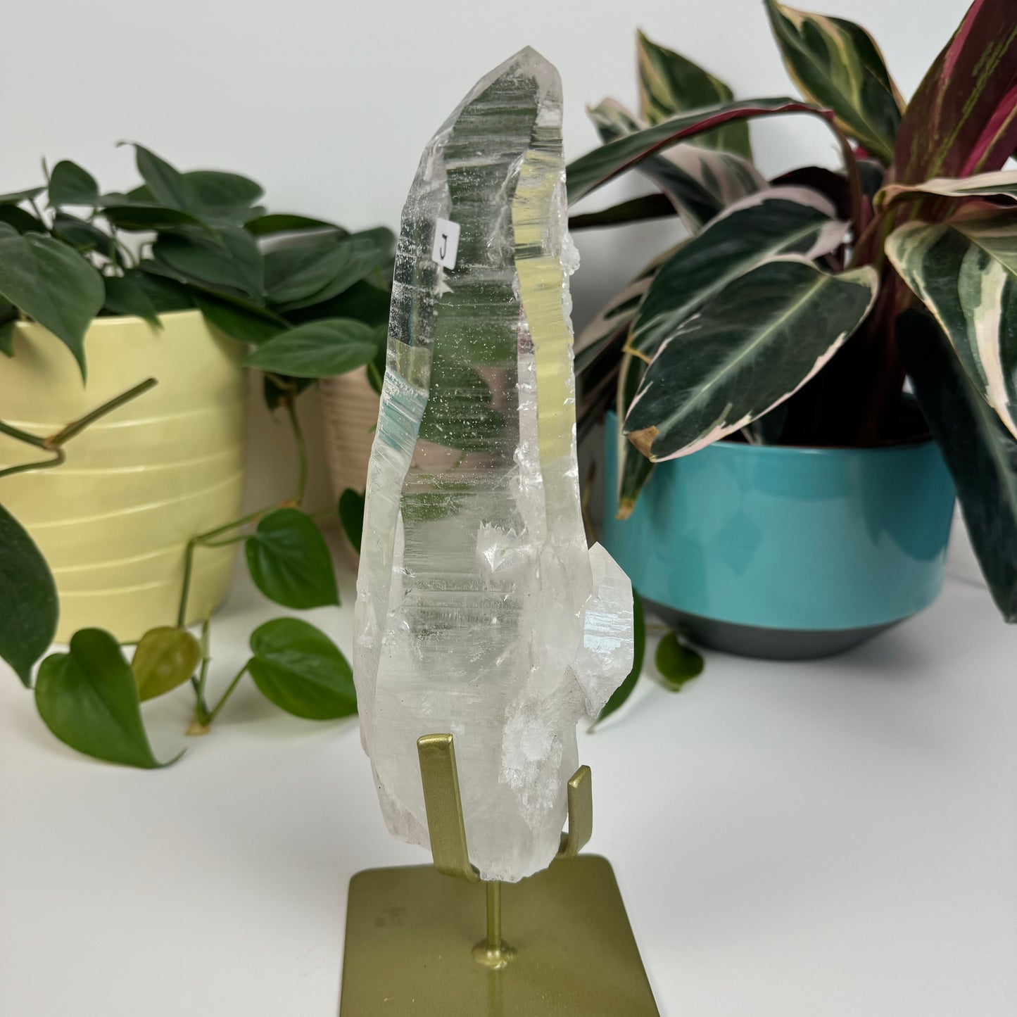 Incredible Lemurian Quartz (W/ Custom Stand) - J