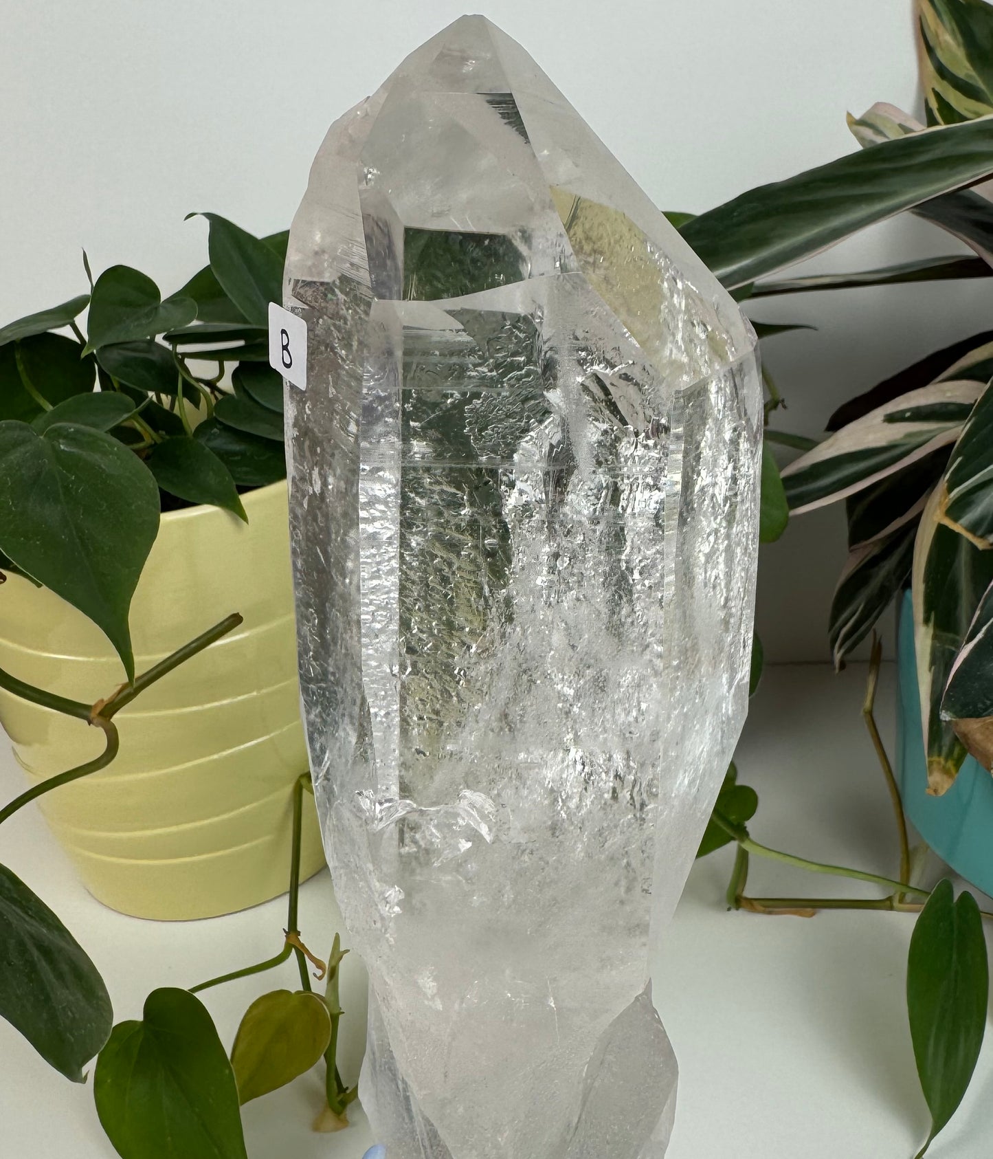 Incredible Lemurian Quartz (W/ Custom Stand) - B