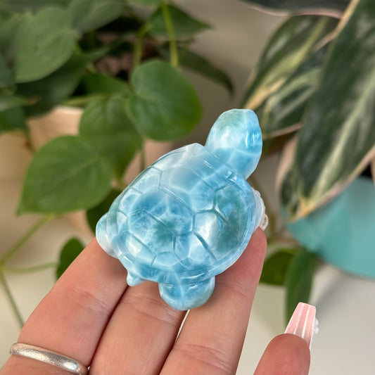 Large Larimar Turtle - D