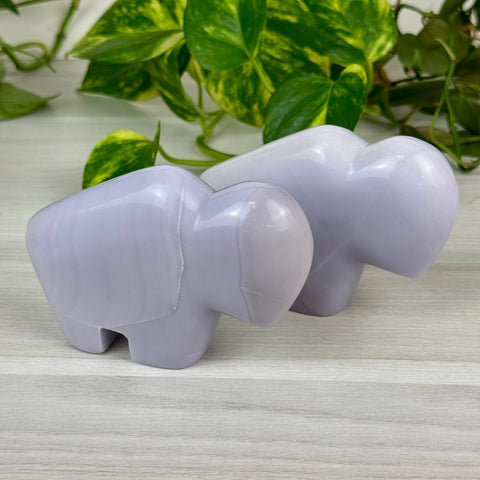 Lavender Fluorite Bison