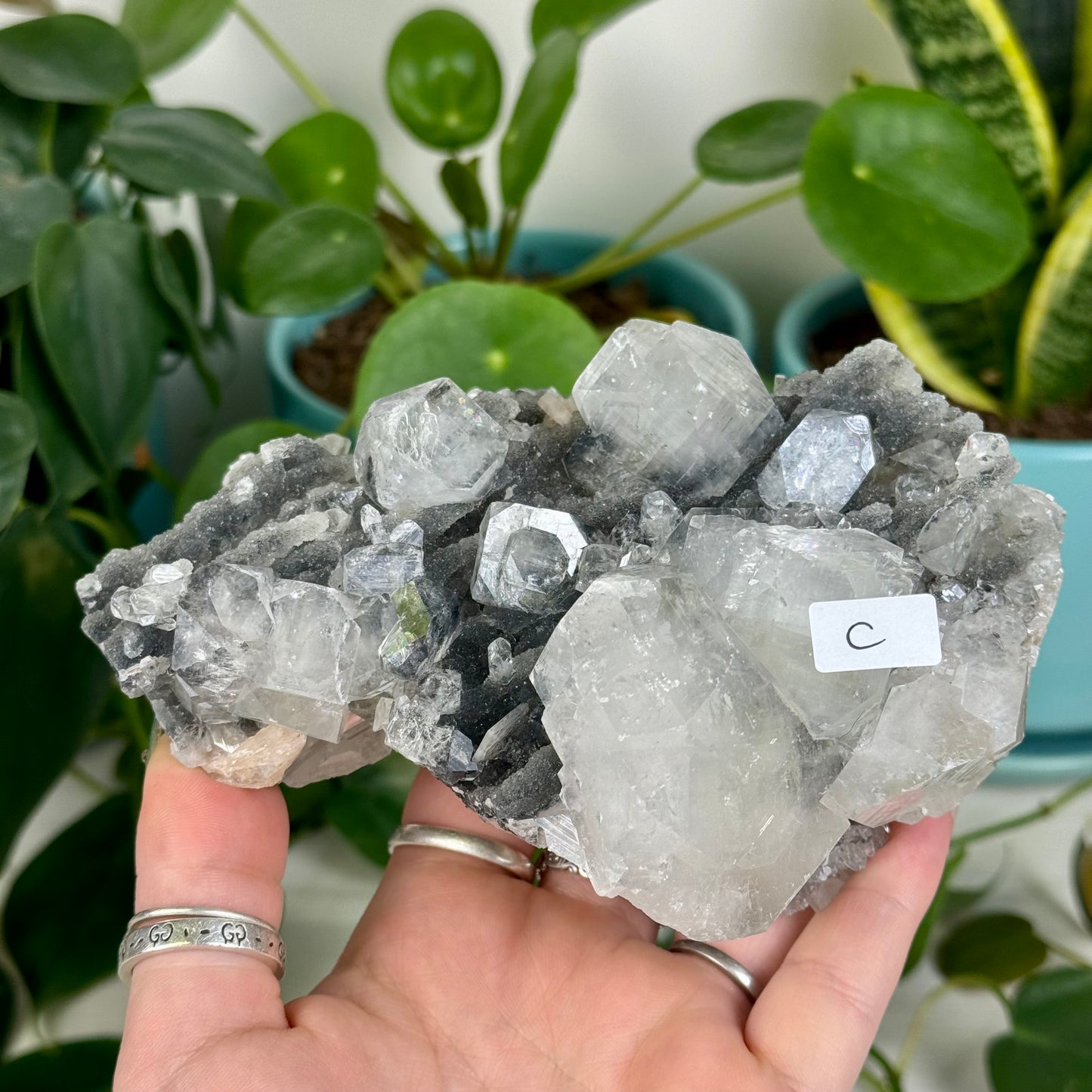 Black Chalcedony with Glossy Apophyllite