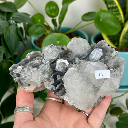 Black Chalcedony with Glossy Apophyllite