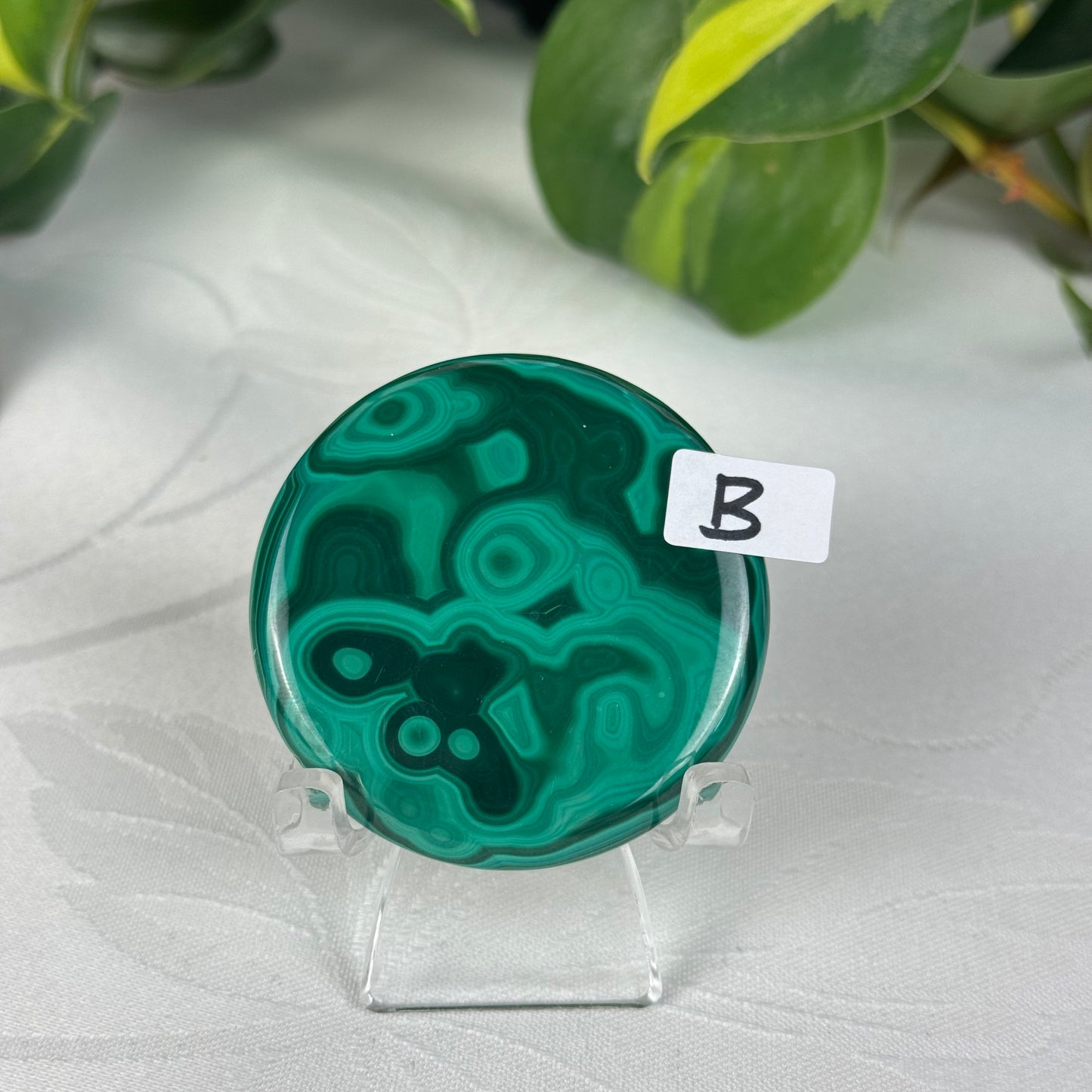 Mini Malachite Cookie