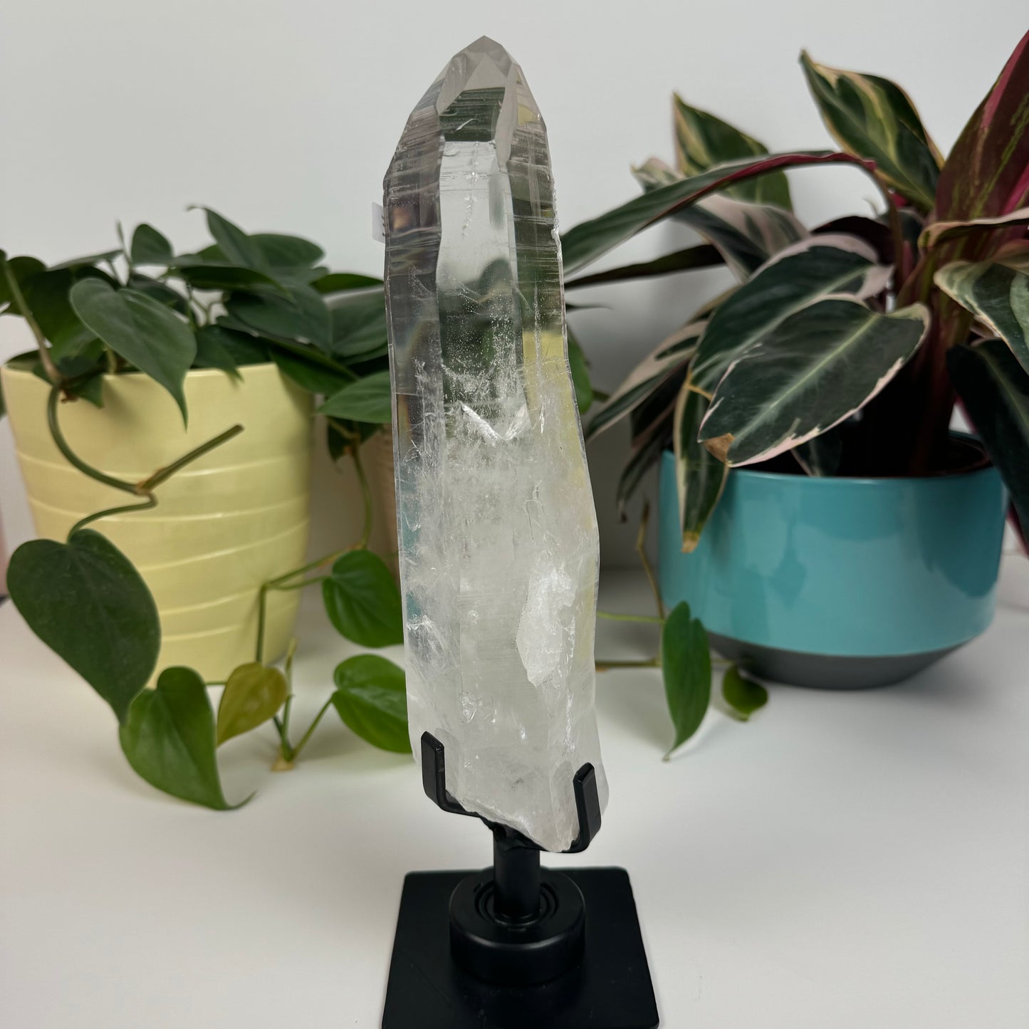 Incredible Lemurian Quartz (W/ Custom Stand) - E