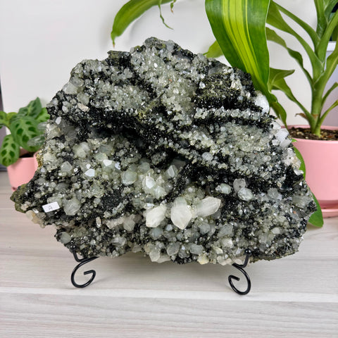 Black Epidote & Chlorite Quartz Specimen (Forest Quartz)