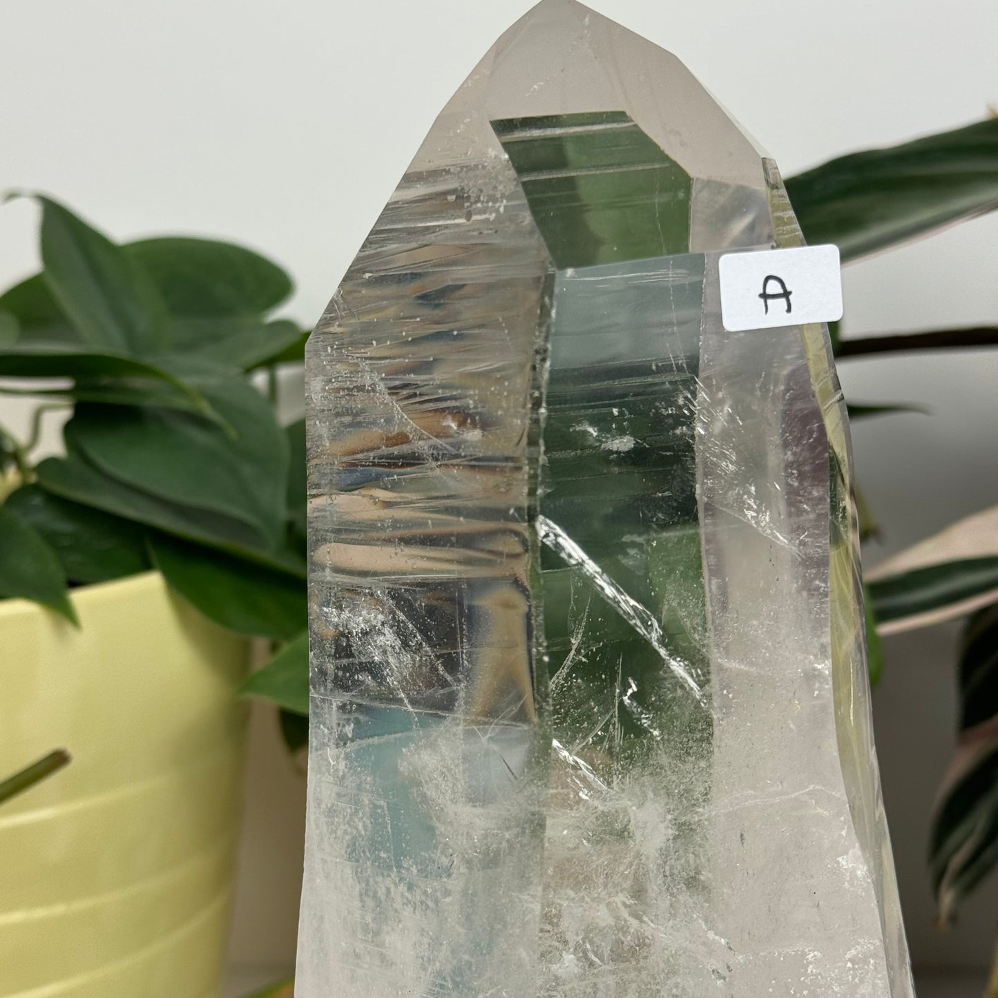 Incredible Lemurian Quartz (W/ Custom Stand) - A