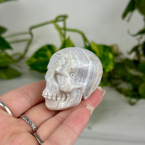 Mini Crazy Lace Agate Skull