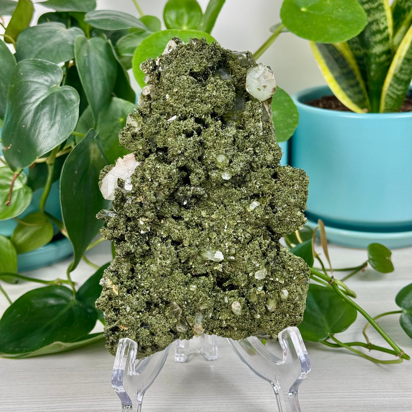 Forest Quartz
