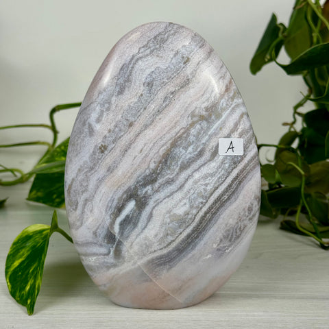 Sea Jasper Free Form