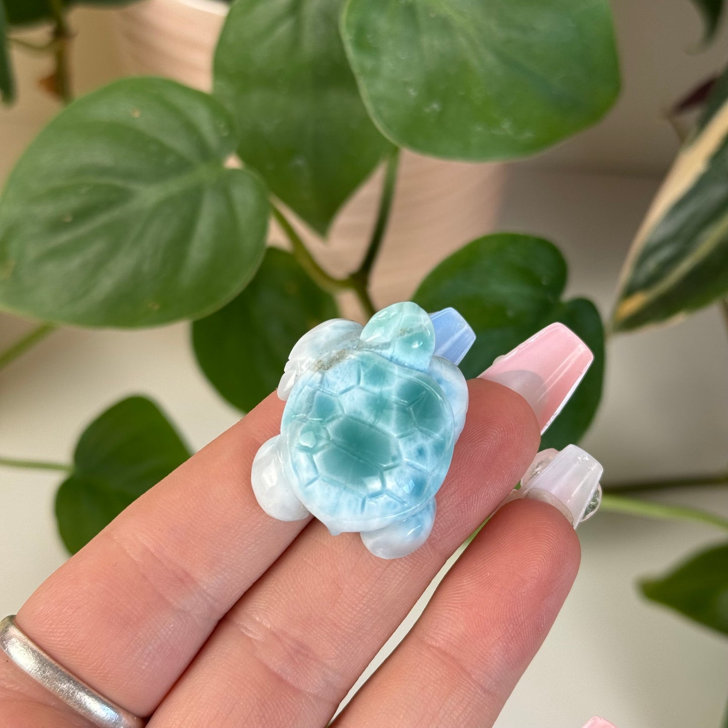 Small Larimar Turtle