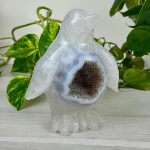 Druzy Agate Penguin