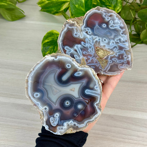 Swazi Rose Agate Slice
