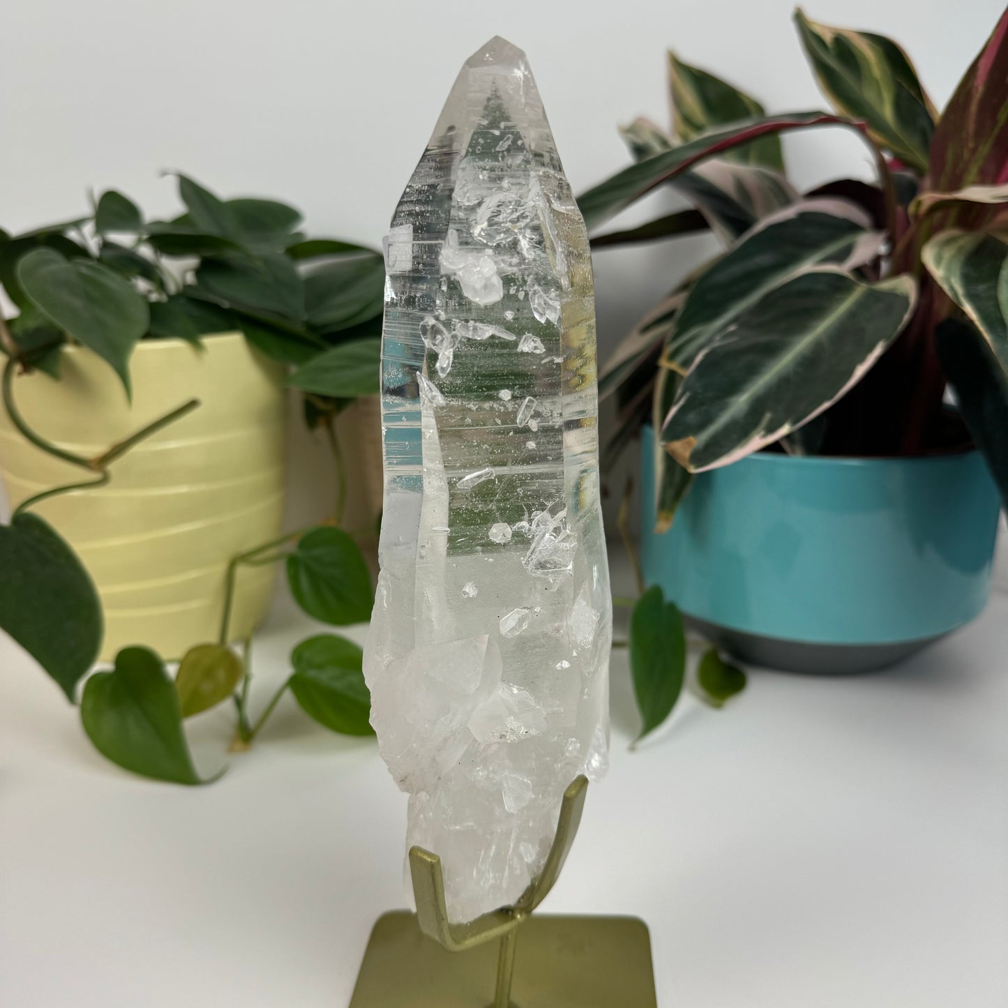 Incredible Lemurian Quartz (W/ Custom Stand) - J