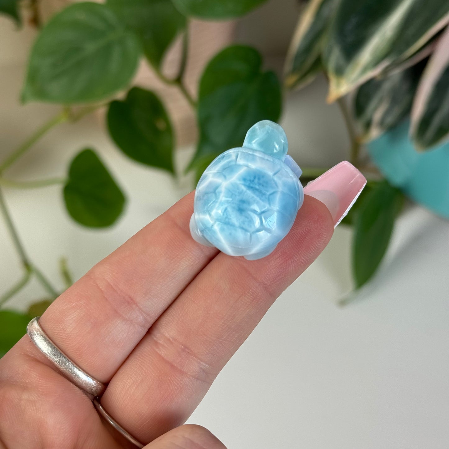 Small Larimar Turtle