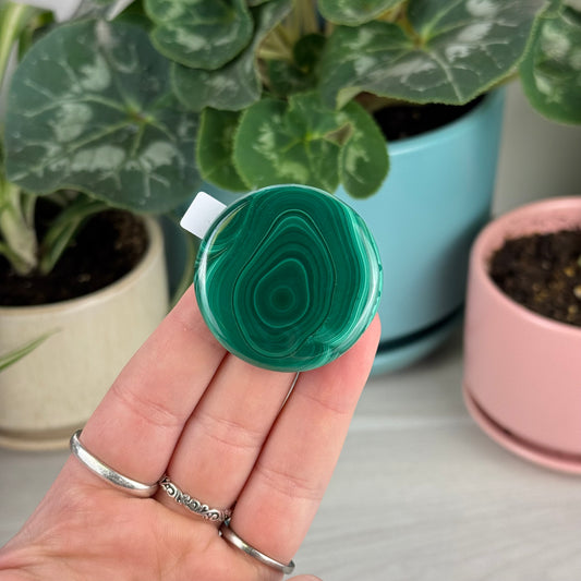 Malachite Cookie - A2