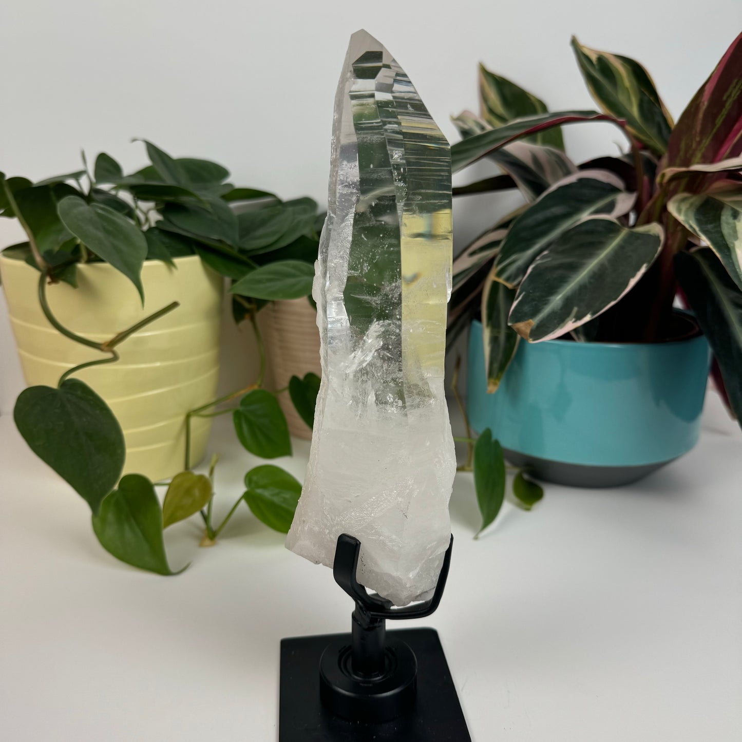 Incredible Lemurian Quartz (W/ Custom Stand) - G