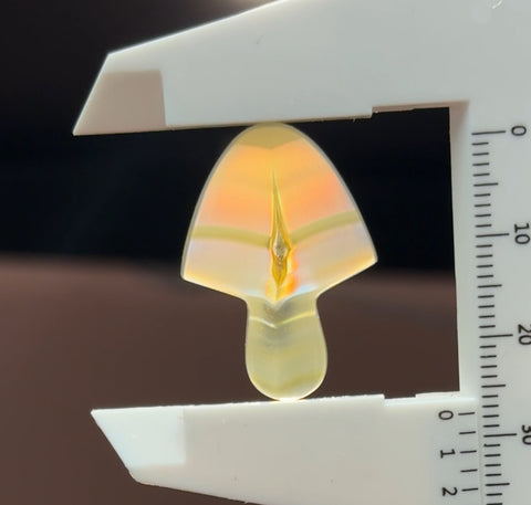 Iris Agate Mushroom