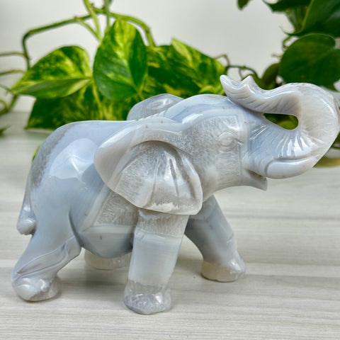 Statement Druzy Agate Elephant - Irina