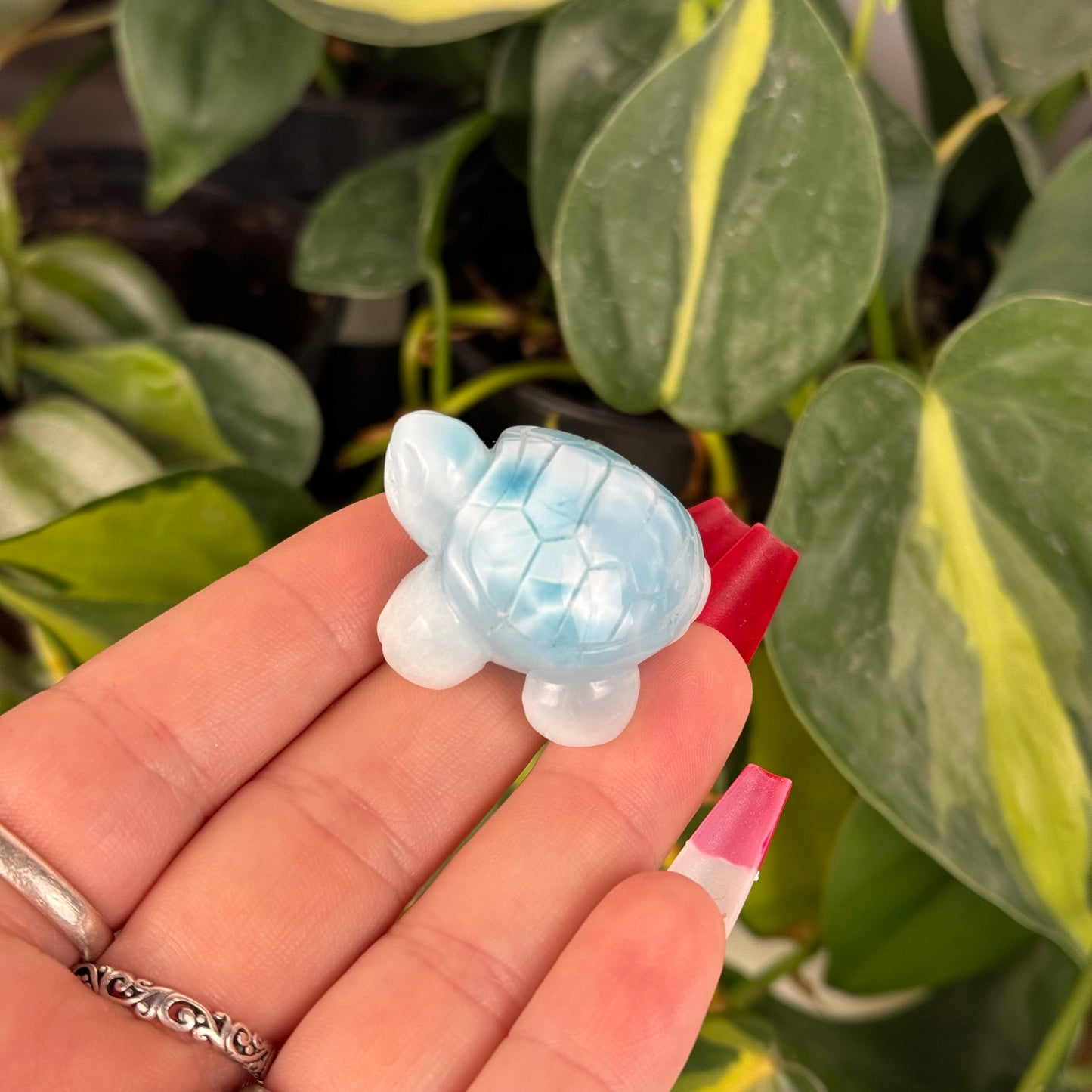 Mini Larimar Turtle