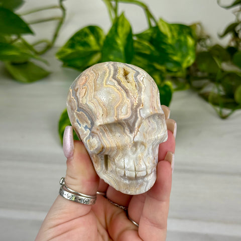 Crazy Lace Agate Skull