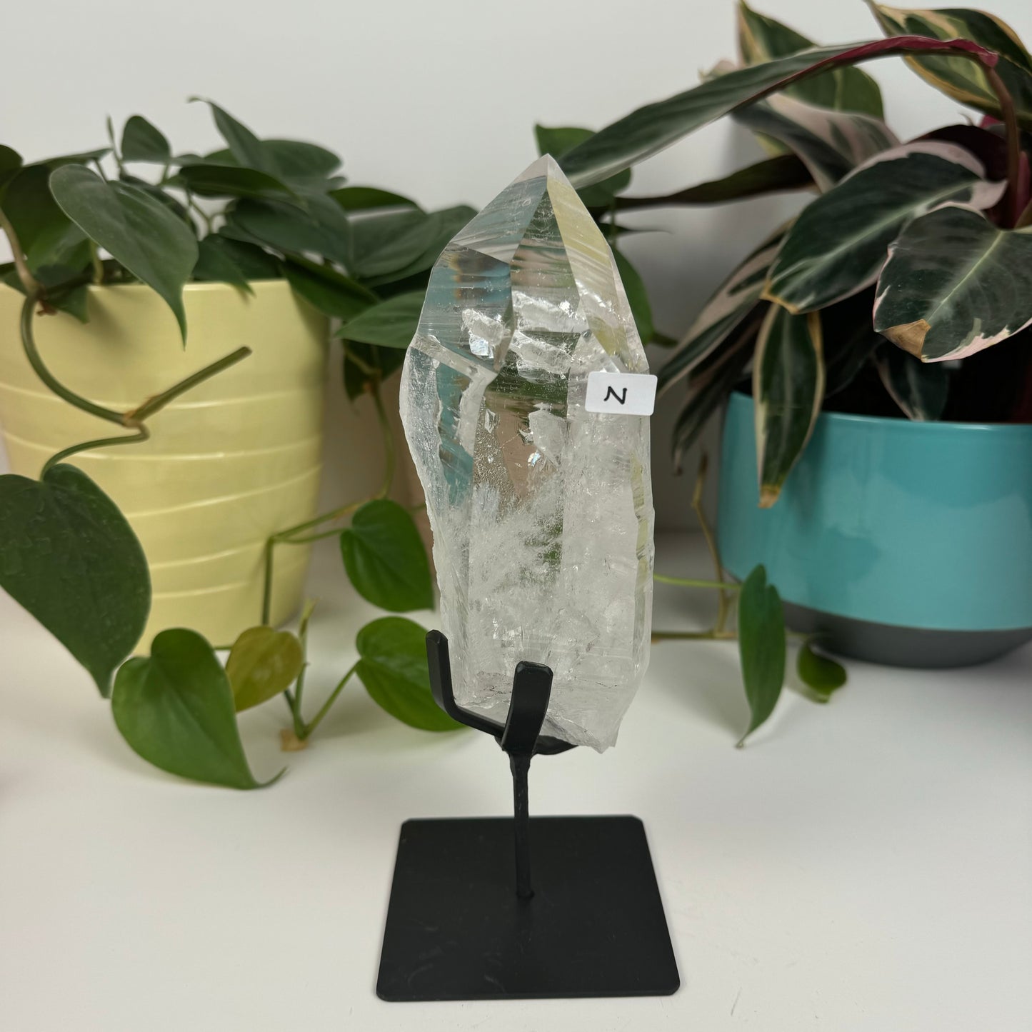 Incredible Lemurian Quartz (W/ Custom Stand) - N