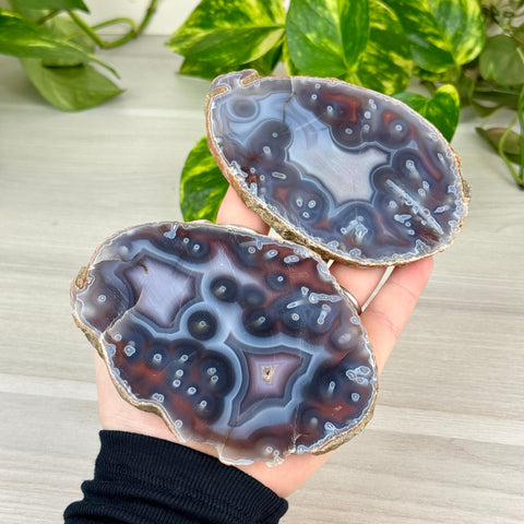 Swazi Rose Agate Slice