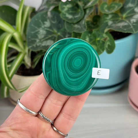 Malachite Cookie - E1