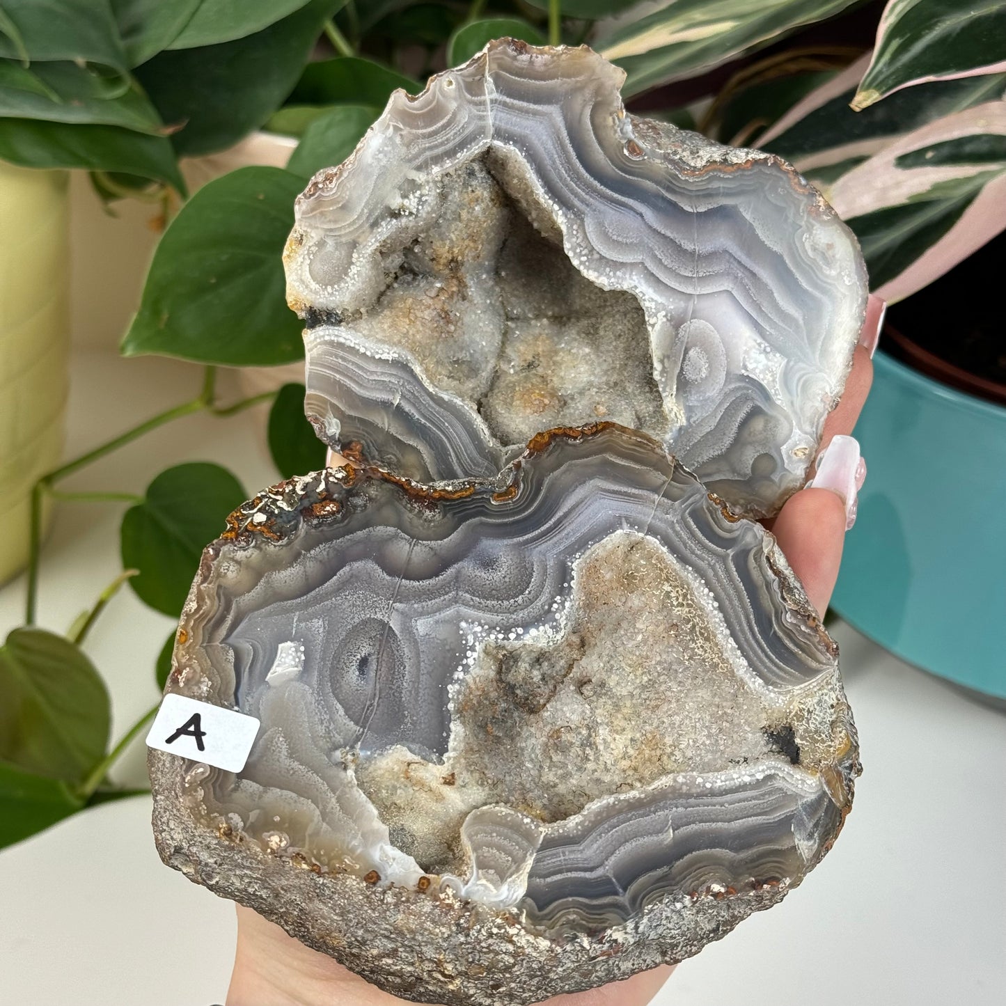 Laguna Agate Pair