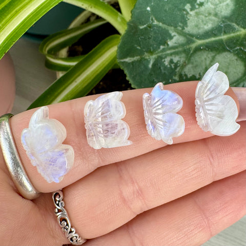 Mini AAA Rainbow Moonstone Crystal Butterfly