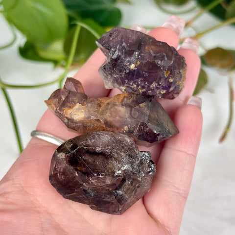 Enhydro Shangaan Amethyst