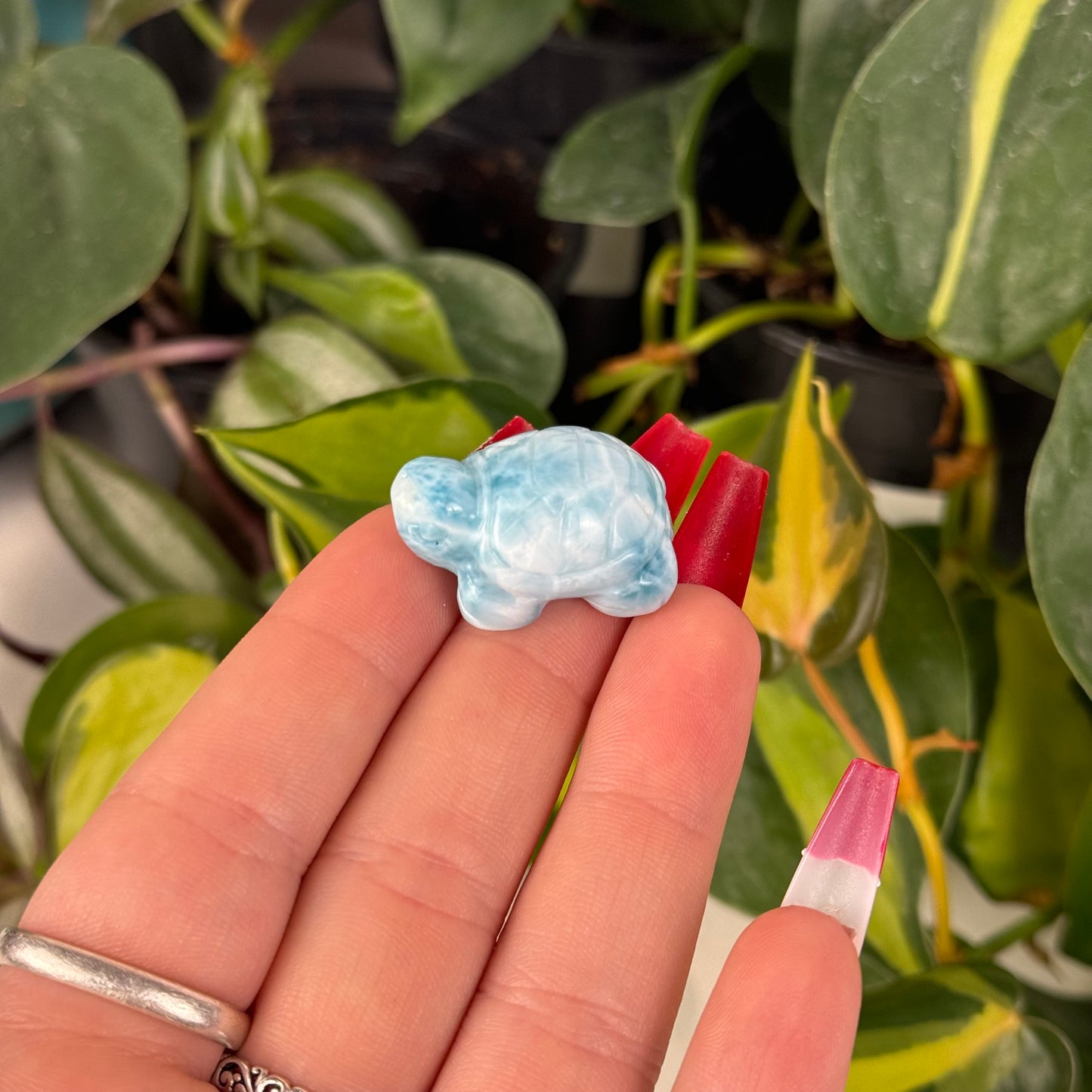 Mini Larimar Turtle