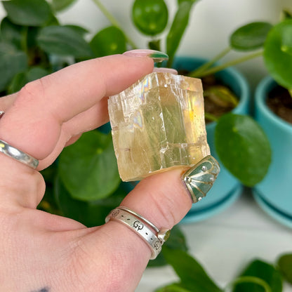 Honey Calcite Jelly