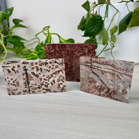 Spotted Painting Stone Slab