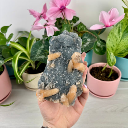 Orange Stilbite On Sparkling Blue Chalcedony