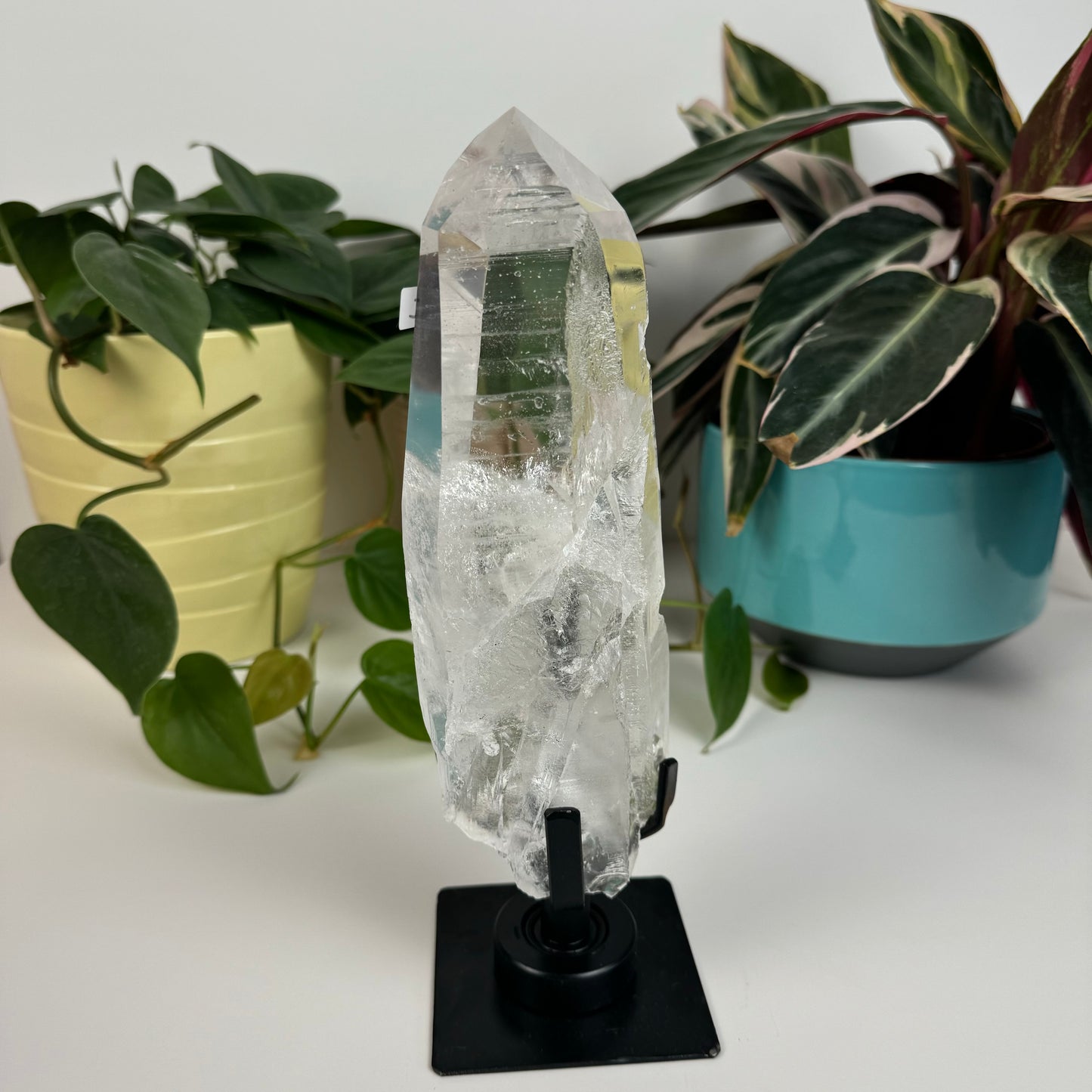 Incredible Lemurian Quartz (W/ Custom Stand) - I