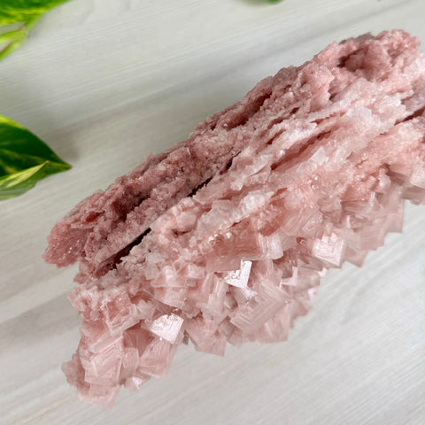 Statement Pink Halite - D