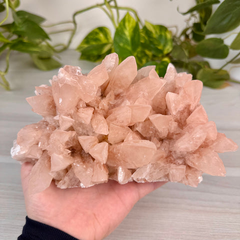 Swallowtail Calcite
