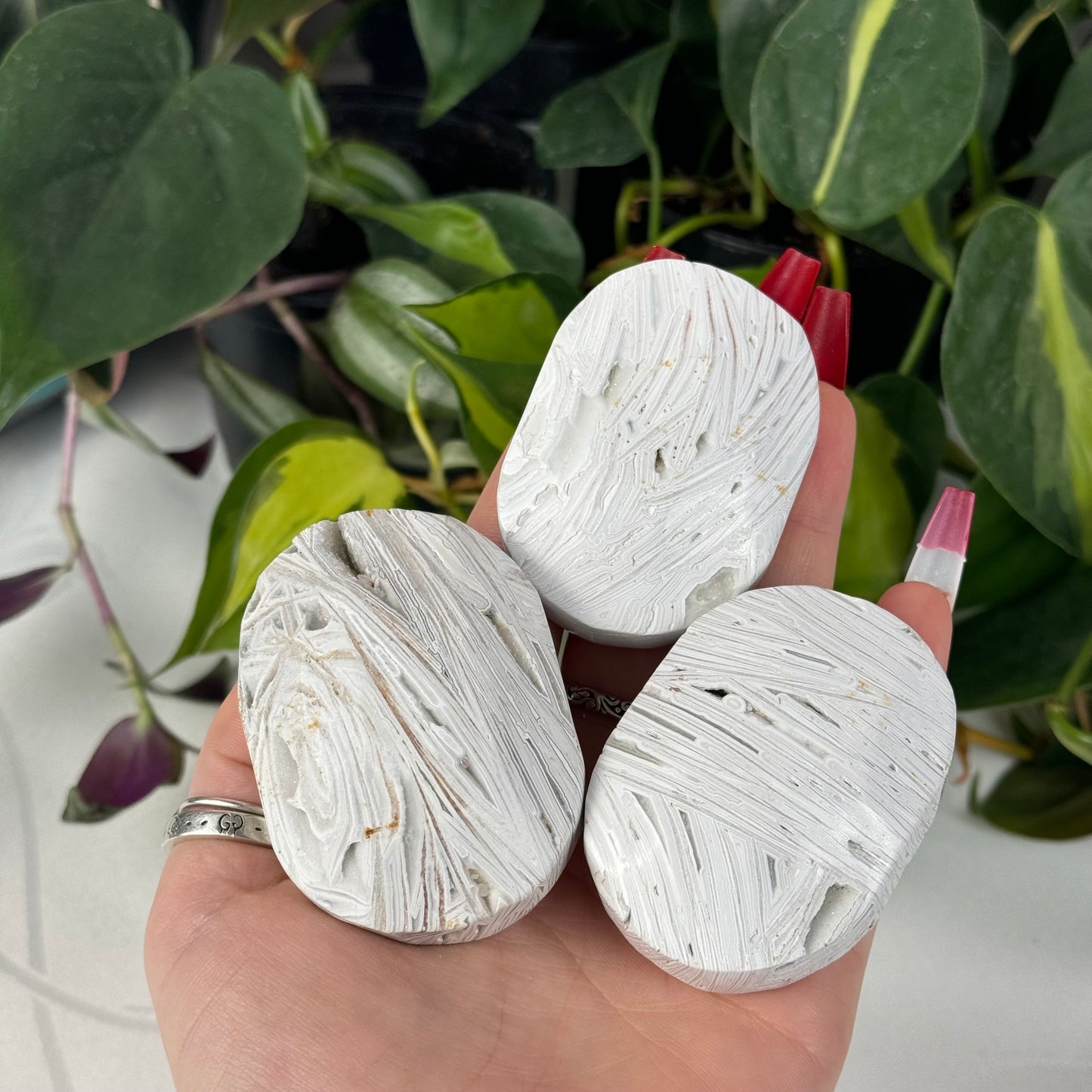 Snowy Crazy Lace Agate Palm Stone