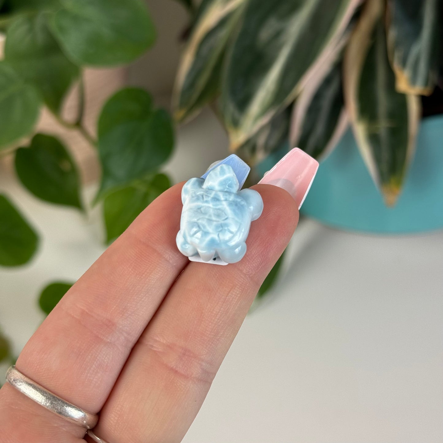 Mini Larimar Turtle