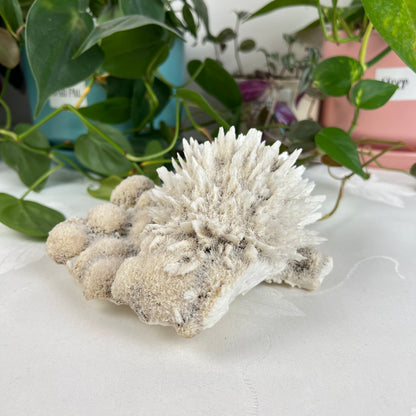 Mordenite w/ Stilbite Specimen