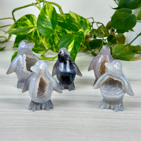 Druzy Agate Penguin